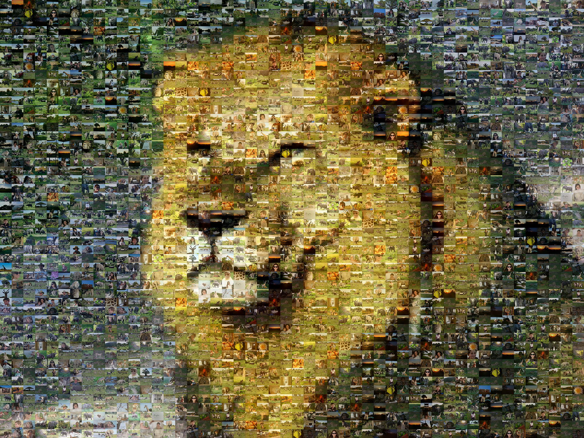 Picture Mosaics Sunbathing Lion Photo Mosaic