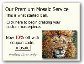 Our Premium Mosaic Service