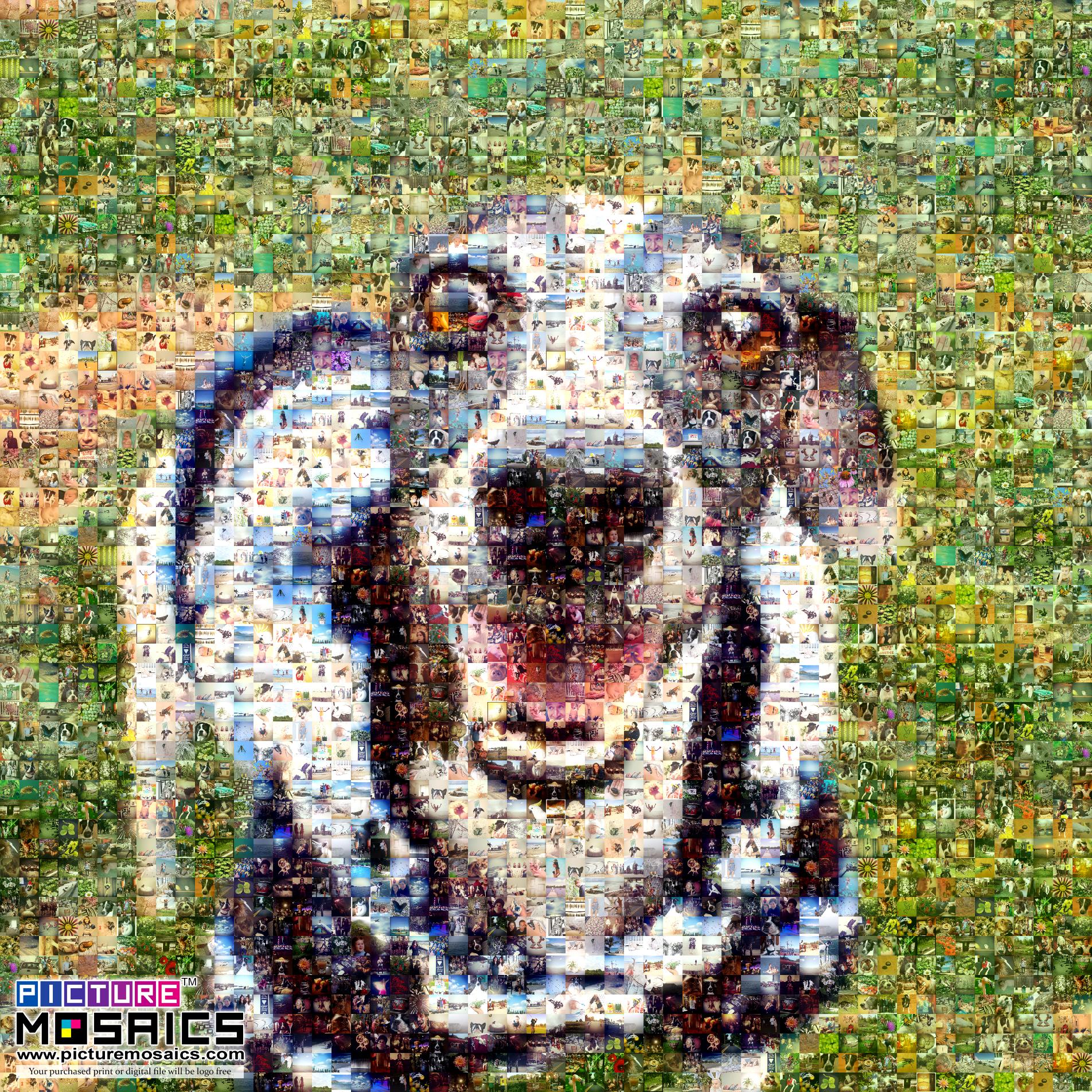 Dog Test Photo Mosaic - Picture Mosaics