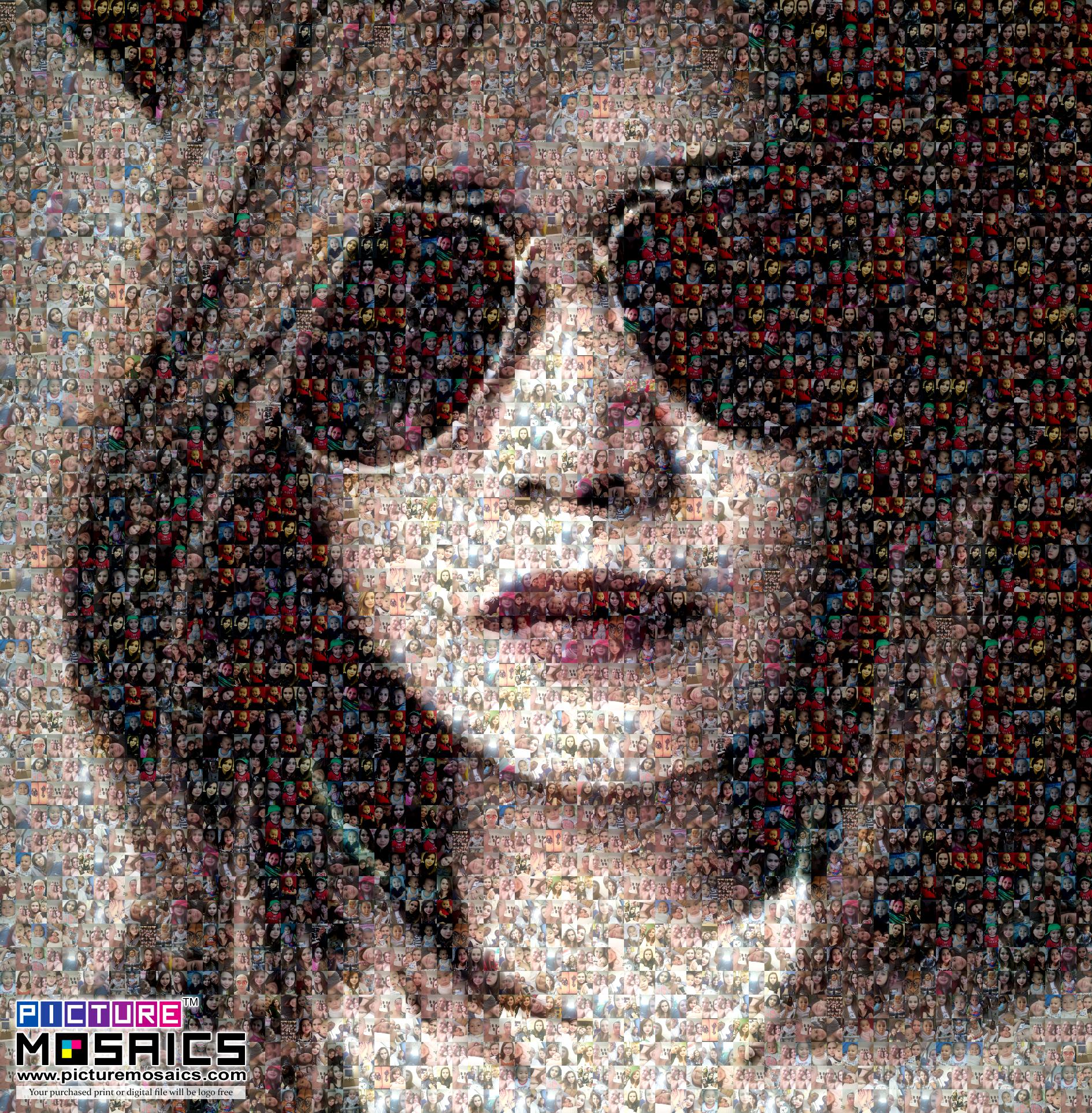 Babe Photo Mosaic - Picture Mosaics