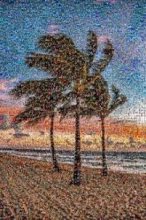 Sunset Beach Fort Lauderdale Beach Lauderdale Beach Dania Beach Sunrise Anglin