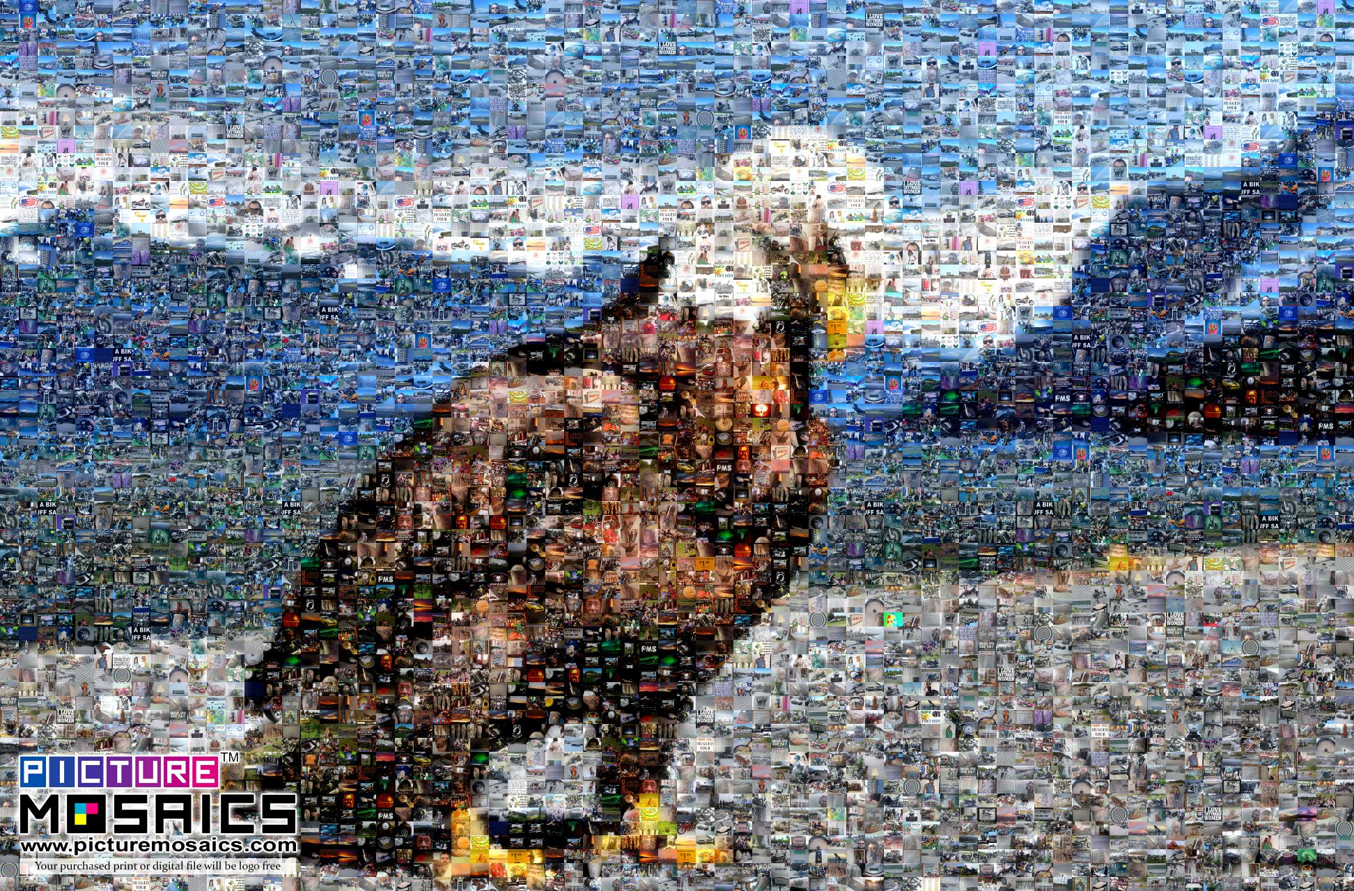 Alaska Eagle Photo Mosaic - Picture Mosaics