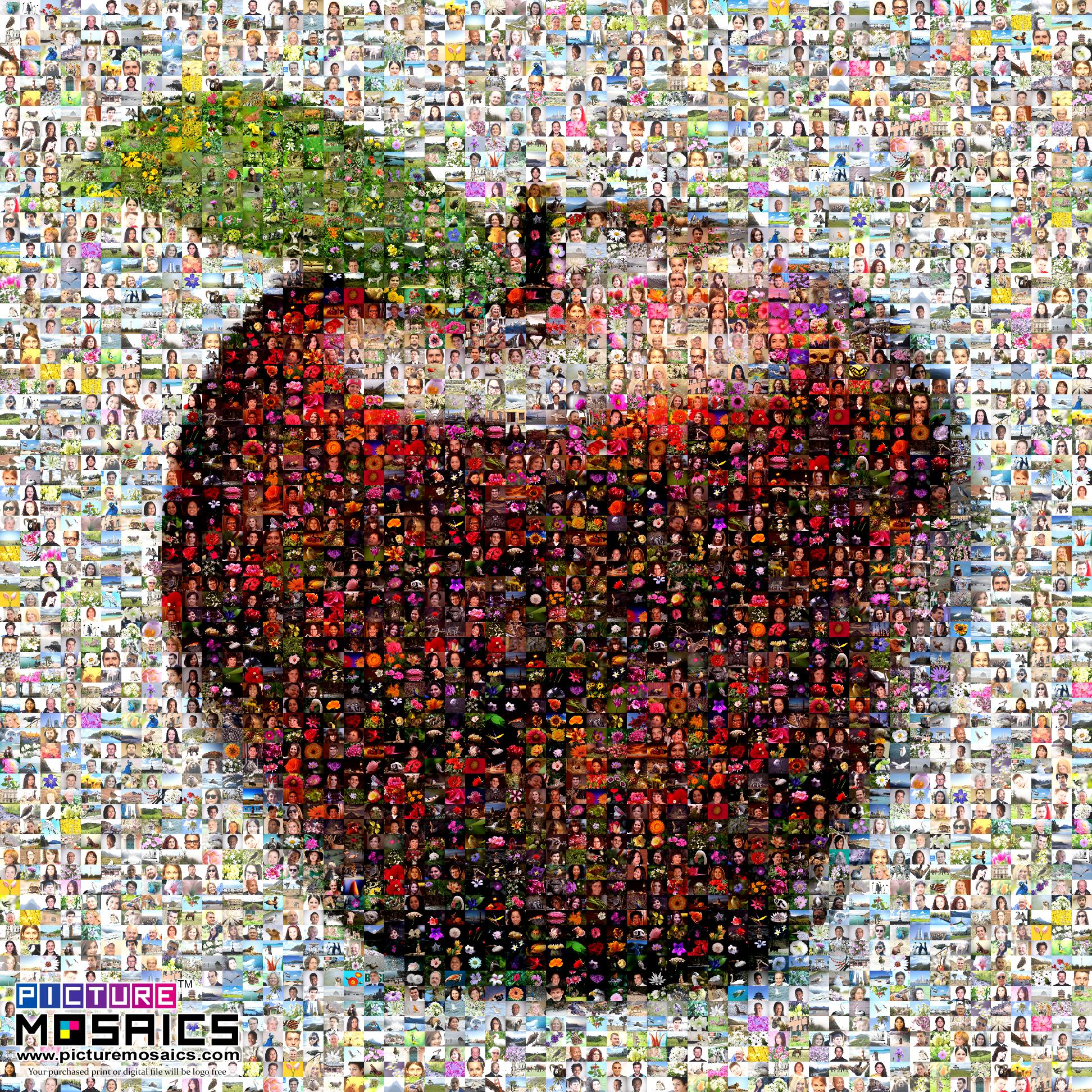 free photo mosaic