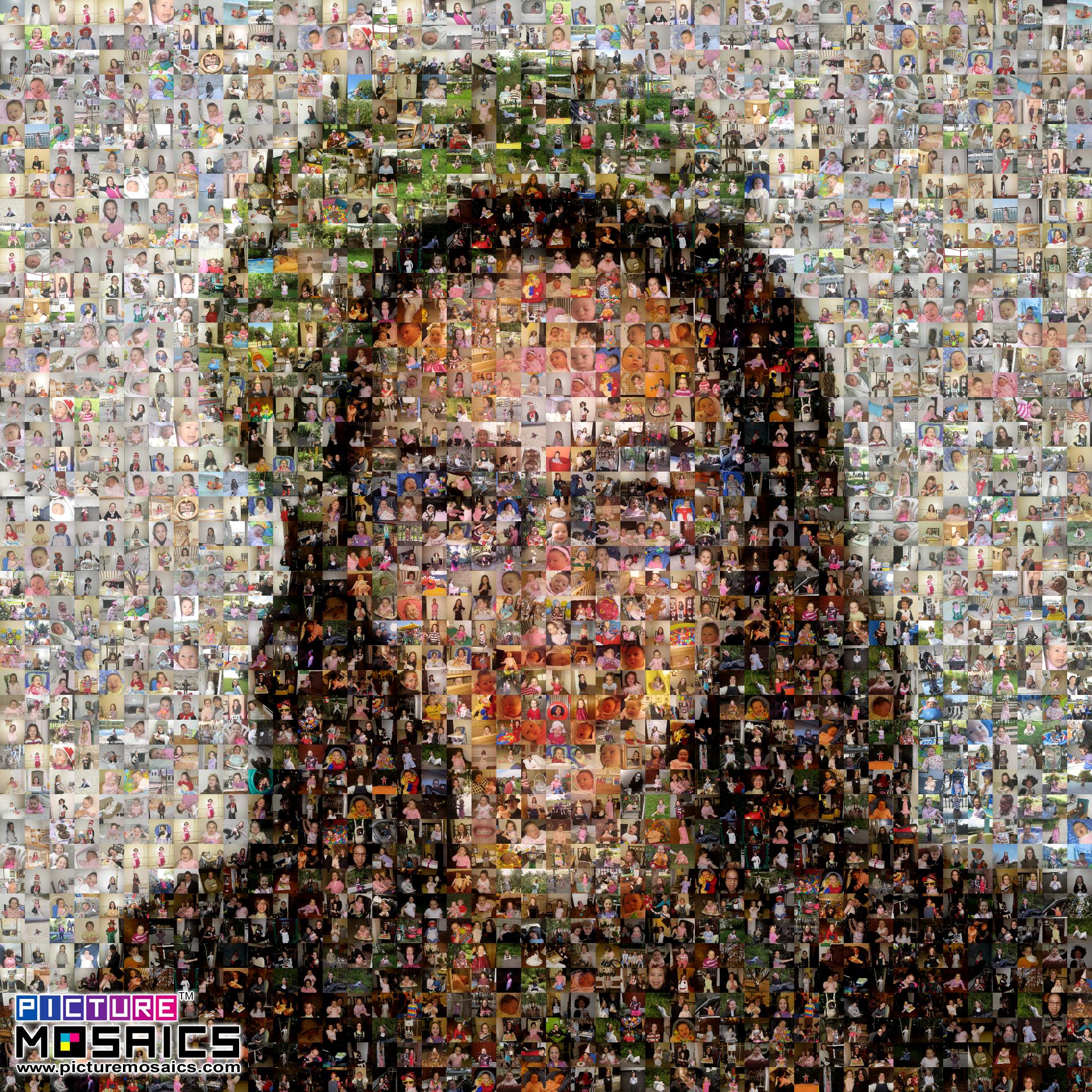 Malkie Photo Mosaic - Picture Mosaics