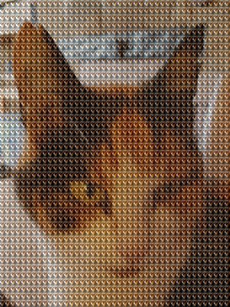 custom photo mosaic