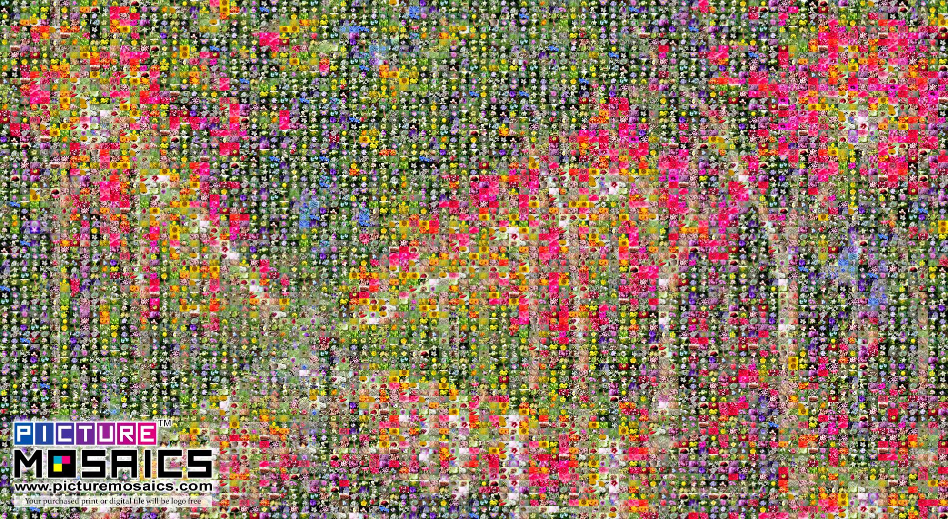 picture mosaic software