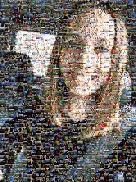 custom photo mosaic