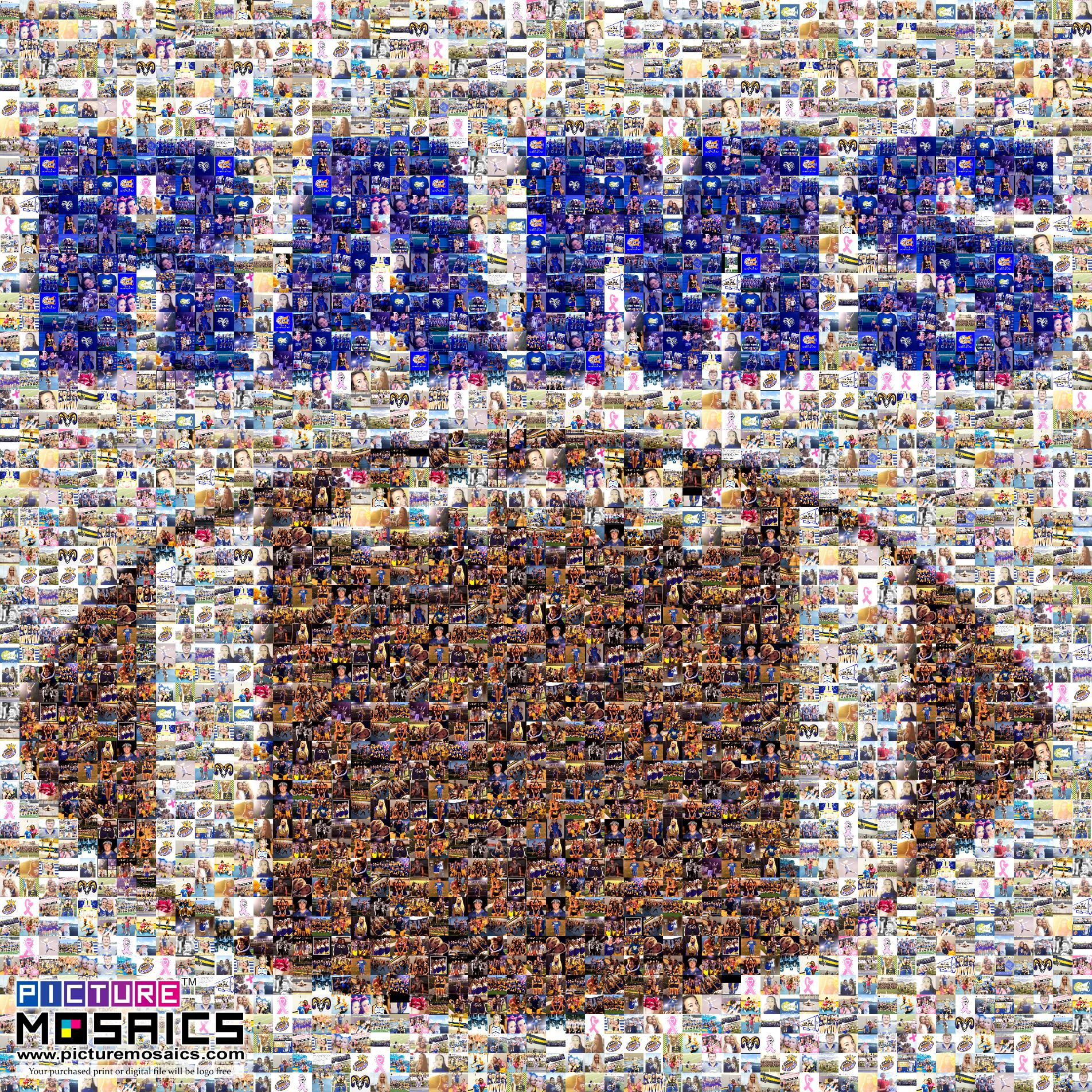 Football 2018 Photo Mosaic Picture Mosaics