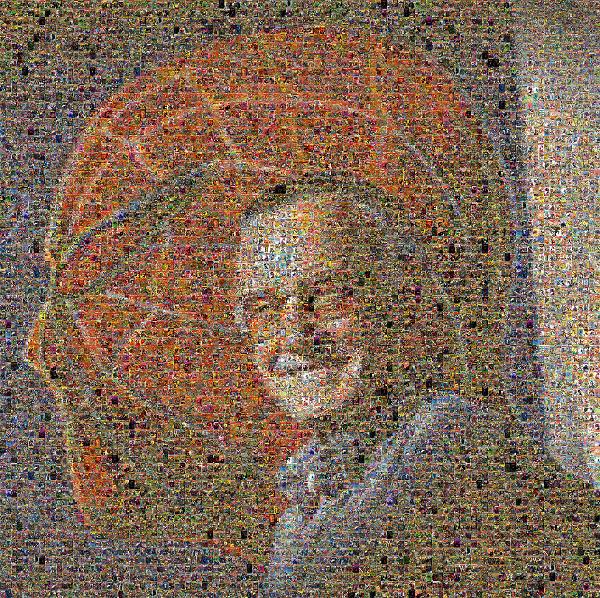 The Amazing Stan Lee Photo Mosaic - Picture Mosaics