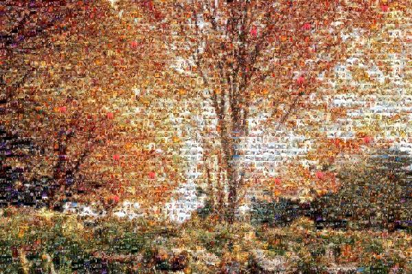 Autumn photo mosaic