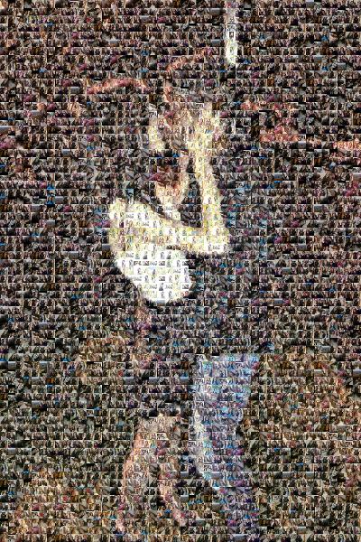 custom photo mosaic