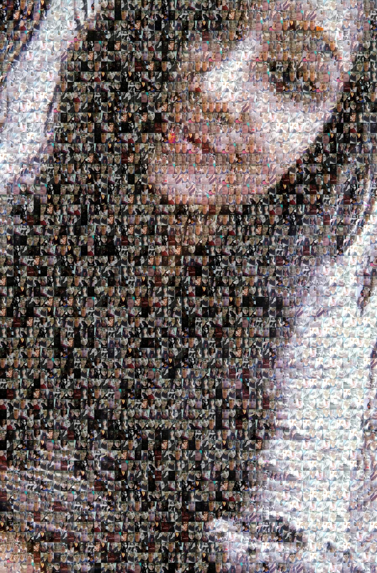 Project 5 Photo Mosaic - Picture Mosaics