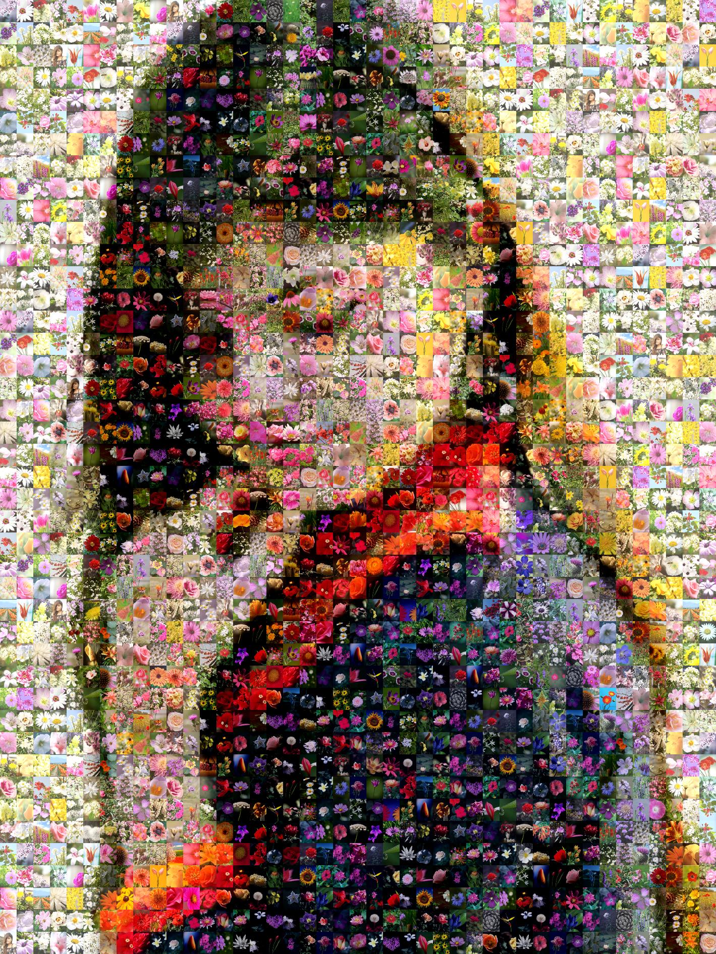 Project 4 Copy Photo Mosaic - Picture Mosaics