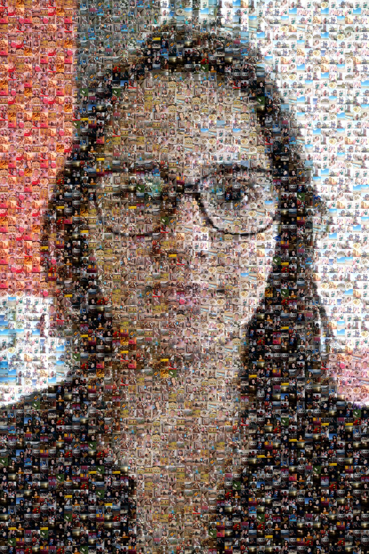 Audrei Photo Mosaic  Picture Mosaics