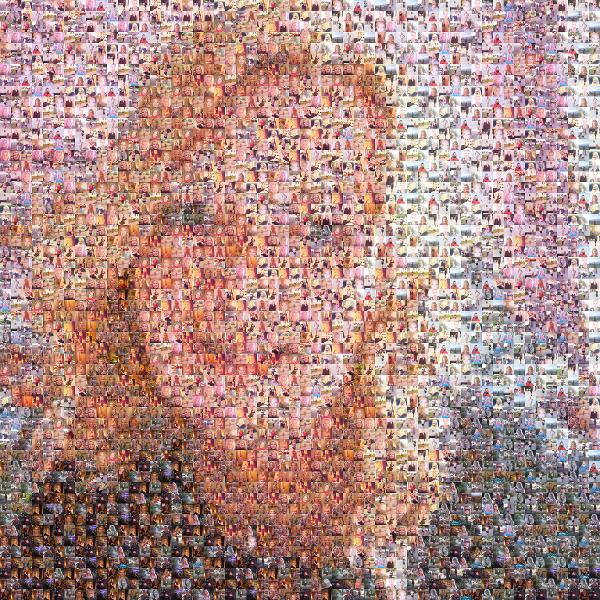 custom photo mosaic