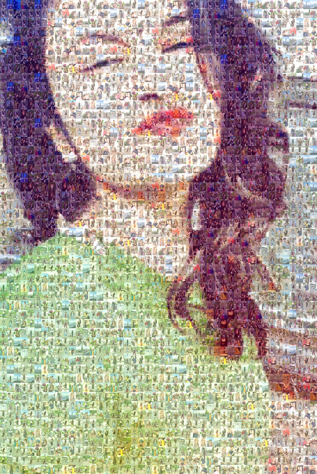 Project 1 Photo Mosaic - Picture Mosaics