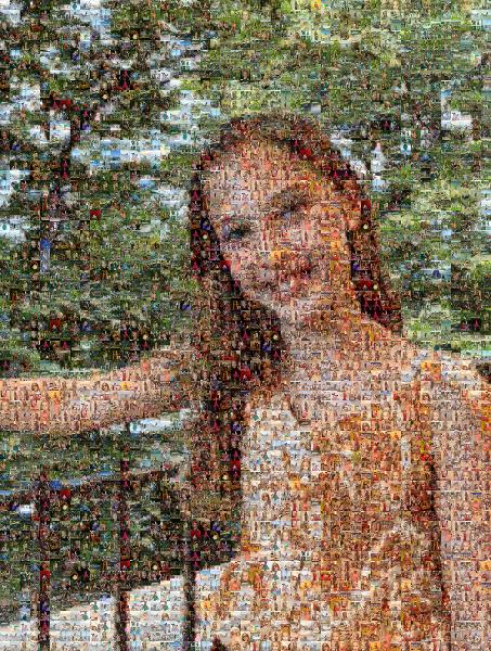 Tree photo mosaic