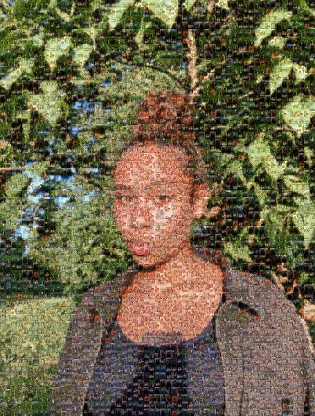 custom photo mosaic