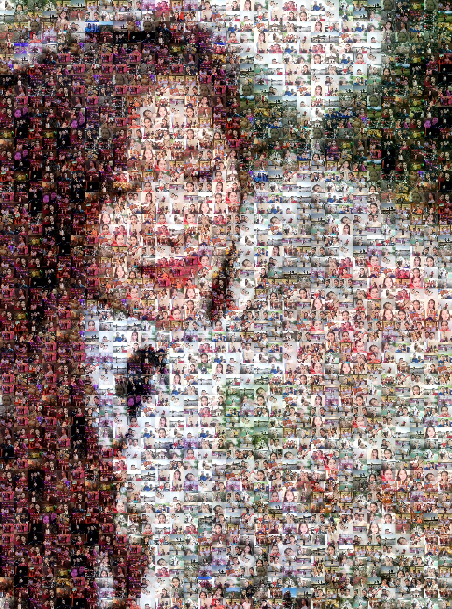 Meo Photo Mosaic - Picture Mosaics