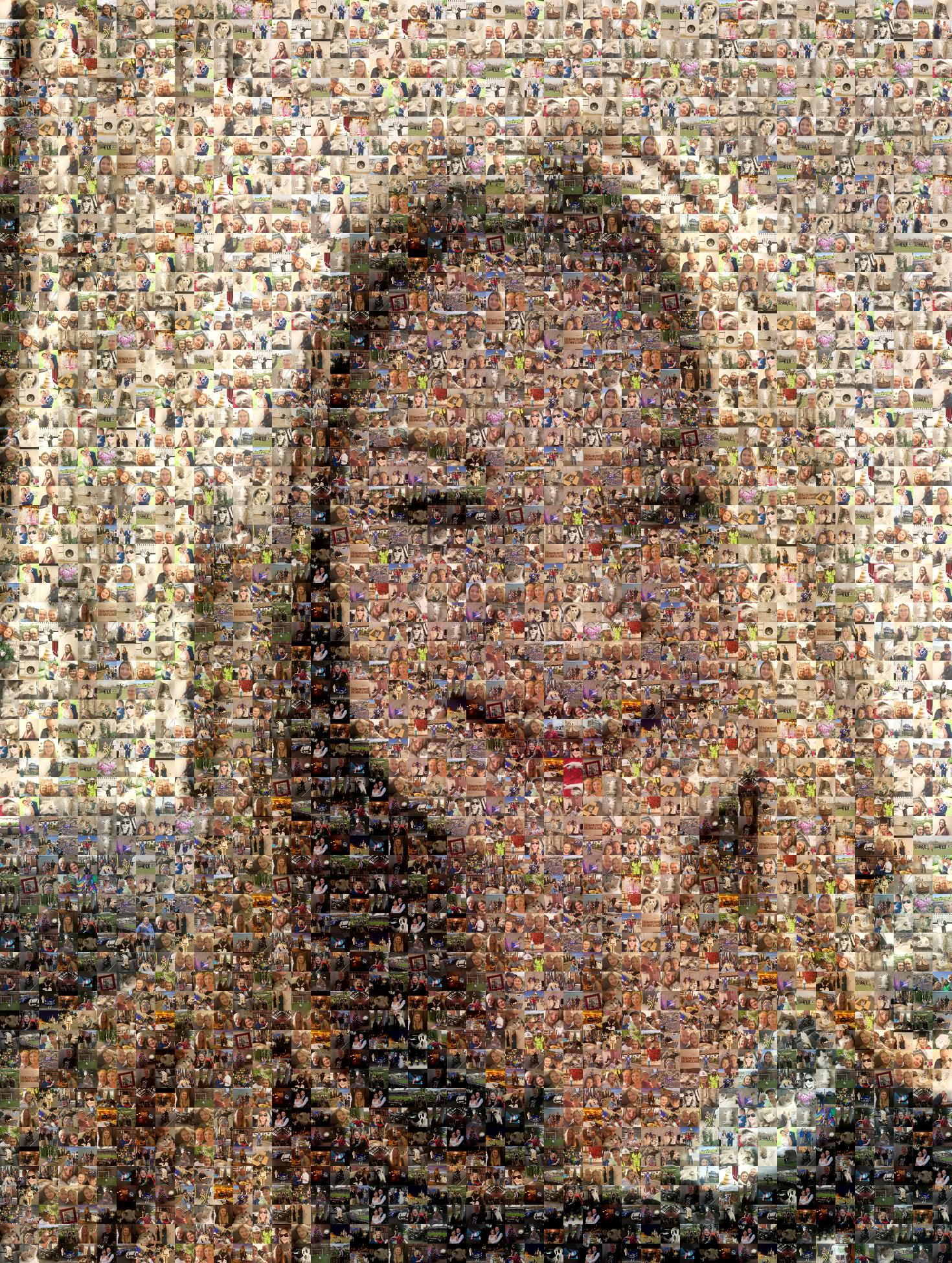 Project 2 Copy Photo Mosaic - Picture Mosaics