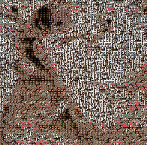 custom photo mosaic