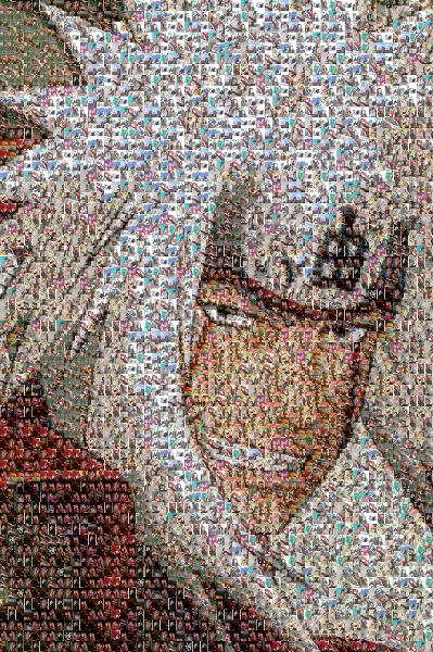 custom photo mosaic