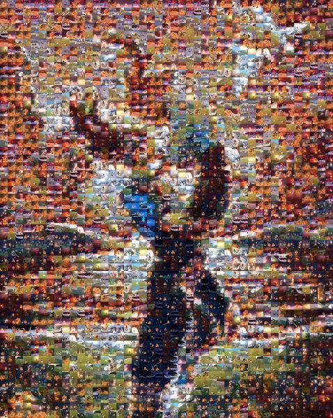 Fan art photo mosaic