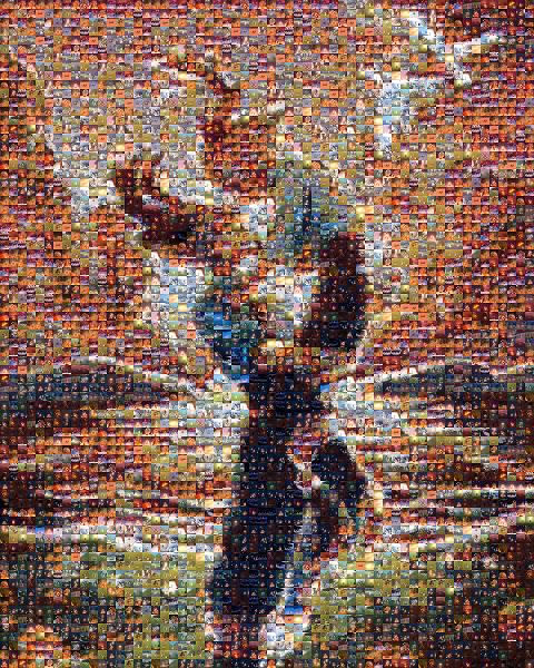 Cartoon photo mosaic