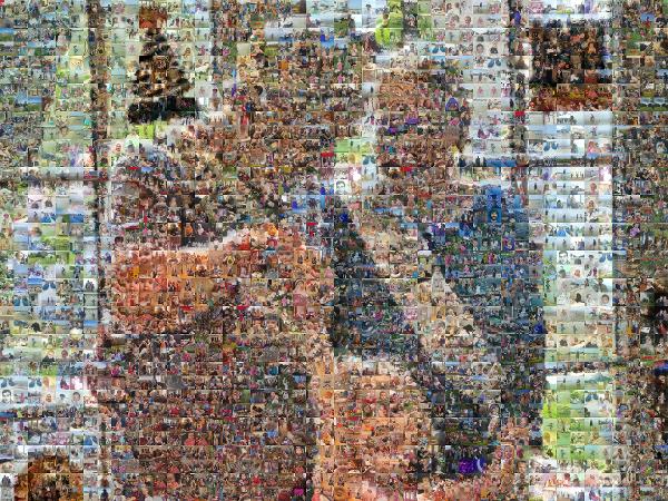 Family taking photos together photo mosaic