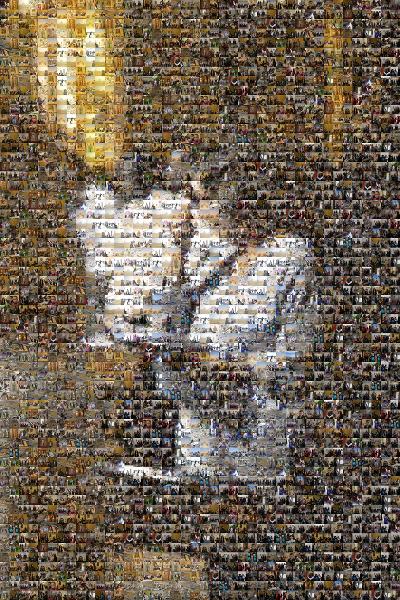 Human photo mosaic