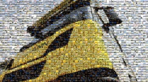 Bulldozer photo mosaic