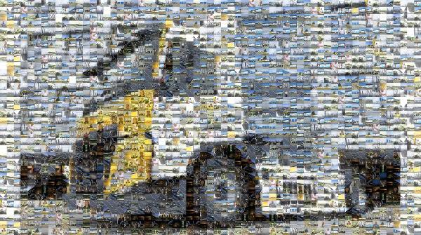 Vehicle photo mosaic