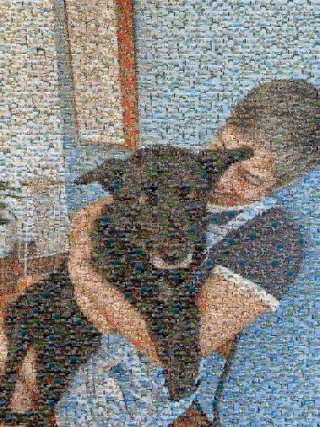 Belgian Shepherd photo mosaic