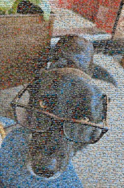 Dog photo mosaic