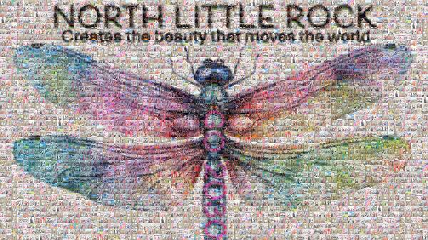 Dragonfly photo mosaic