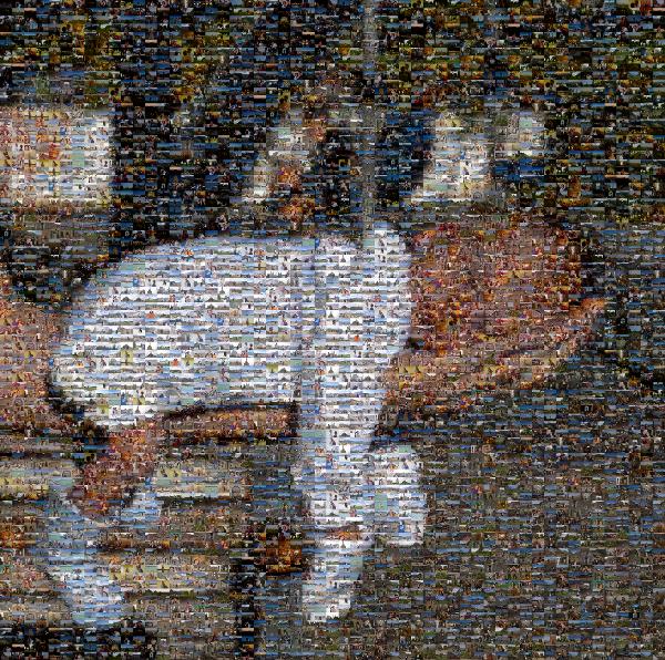 Tiny Child photo mosaic