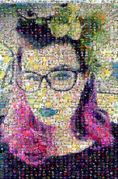 Vibrant Portrait photo mosaic