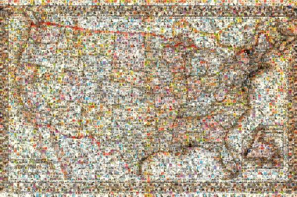 Muted U.S. Map photo mosaic
