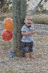 boy young toddler youth happy smile laughing balloons outside tree family faces distant distance