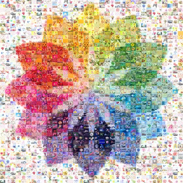 Color Wheel photo mosaic