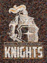 knights teams mascots logos pride school words text graphics