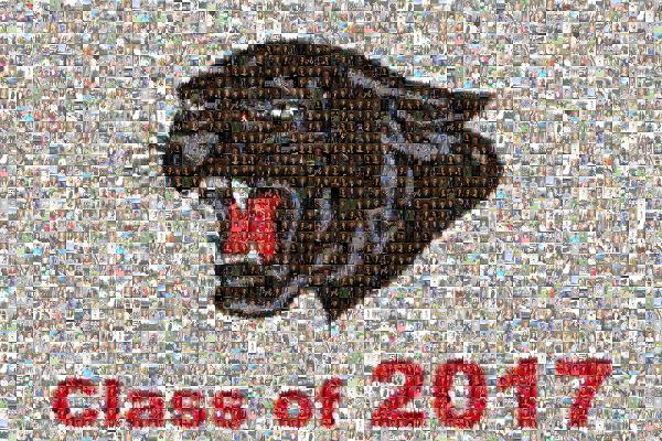 Class of 2017 photo mosaic