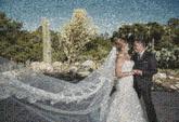 people faces wedding couple love distance distant