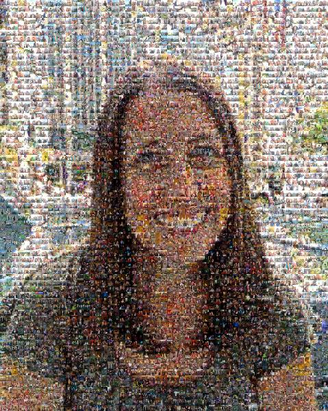A Portrait of a Young Woman photo mosaic