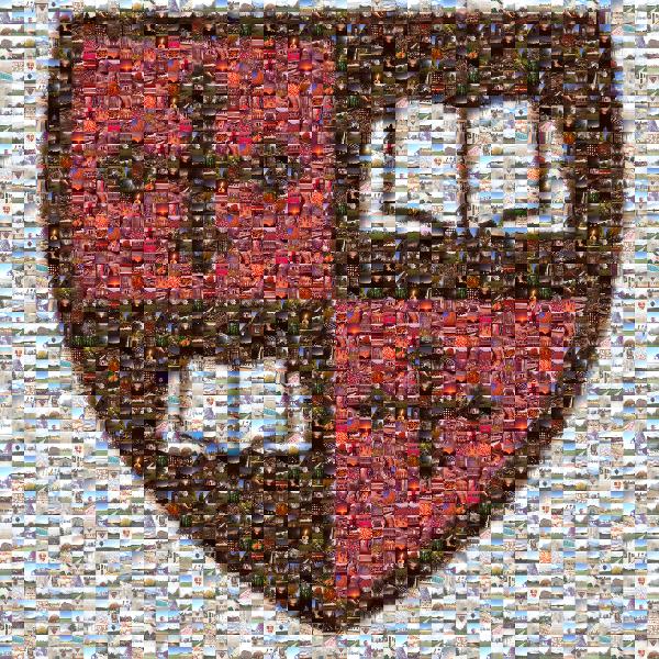 University Crest photo mosaic
