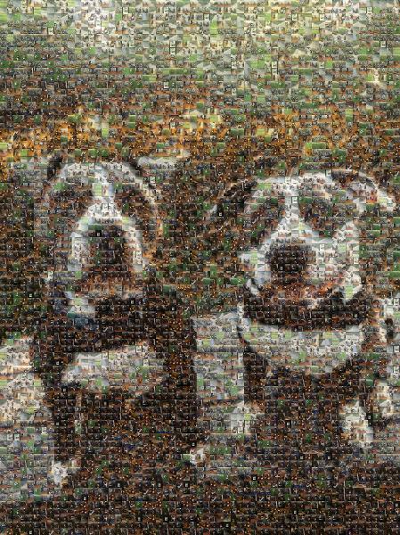 Two Happy Dogs photo mosaic