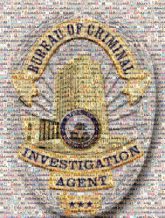 badges crests logos shapes ribbons text words letters criminal investigation public safety agents portraits buildings graphics stars credentials