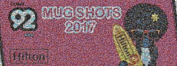 Mugshots 2017 photo mosaic