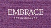 pets insurance text words letters logos company graphics animals 