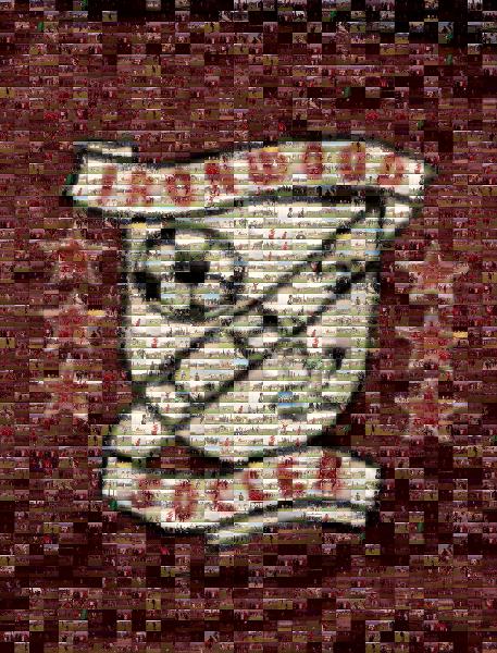 Ironwood Soccer photo mosaic